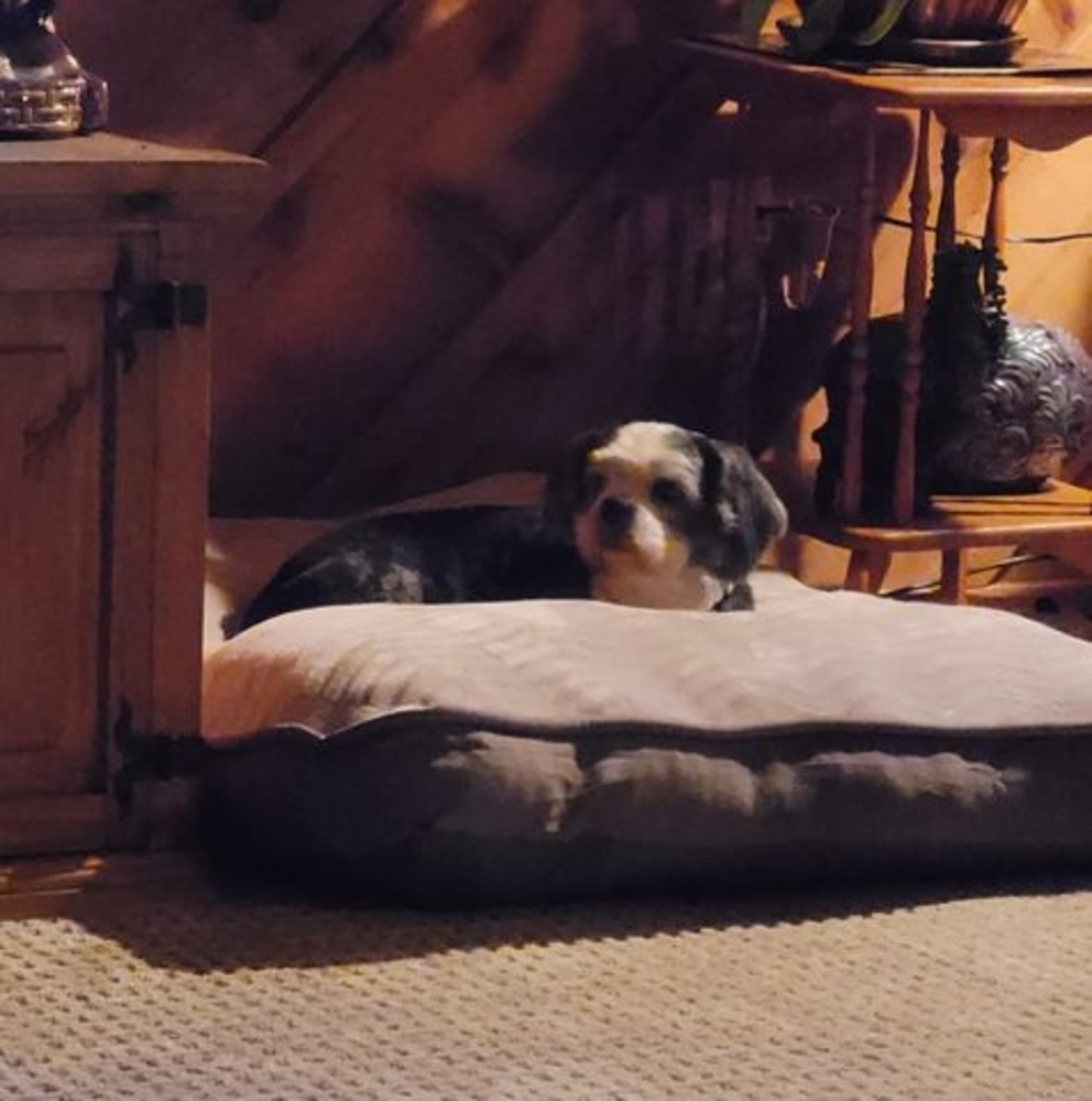 Meet your Posher, Becky